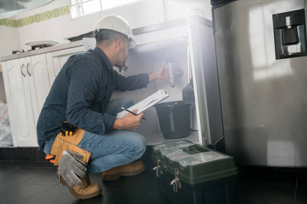 Best Plumbing Inspection Services  in Willow, AK