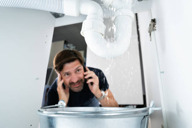 Best Sprinkler Systems  in Willow, AK