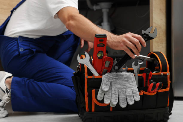 Best Plumbing Inspection Services  in Willow, AK